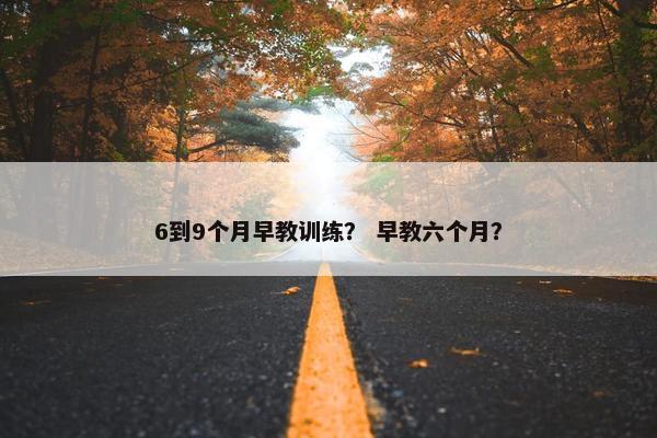 6到9个月早教训练？ 早教六个月？