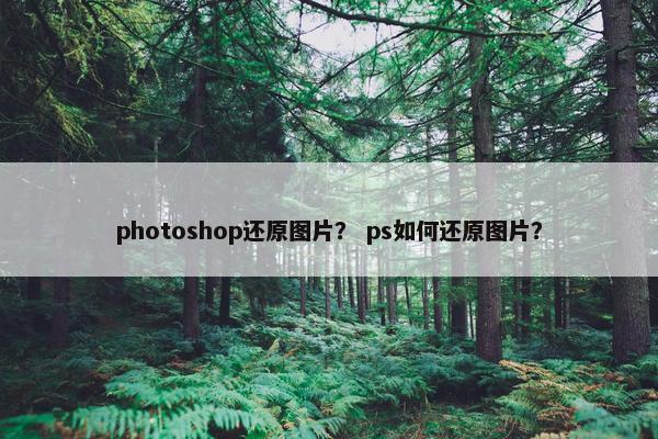 photoshop还原图片？ ps如何还原图片？