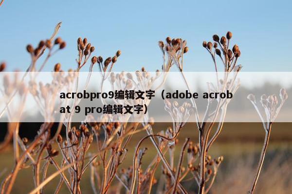acrobpro9编辑文字（adobe acrobat 9 pro编辑文字）