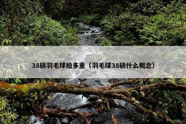 38磅羽毛球拍多重（羽毛球38磅什么概念）