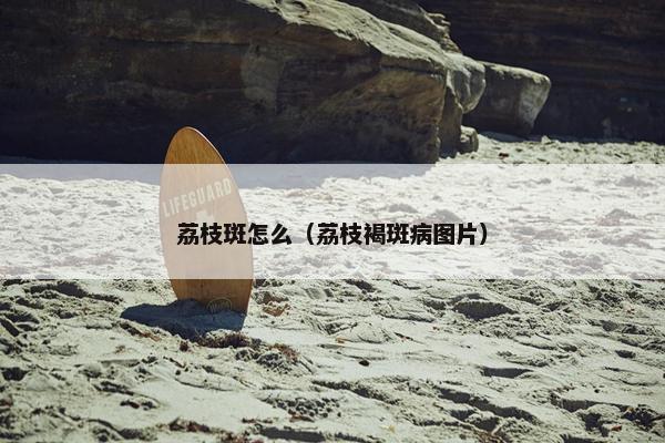 荔枝斑怎么（荔枝褐斑病图片）
