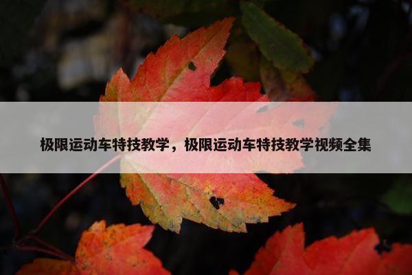 极限运动车特技教学，极限运动车特技教学视频全集