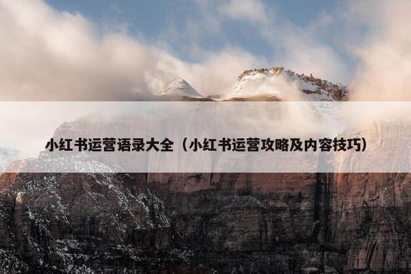 小红书运营语录大全（小红书运营攻略及内容技巧）