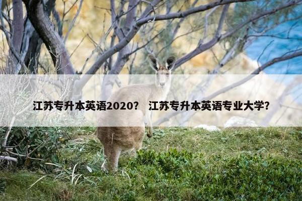 江苏专升本英语2020？ 江苏专升本英语专业大学？