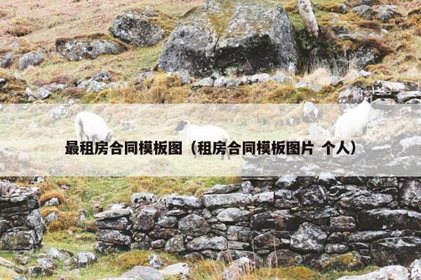 最租房合同模板图（租房合同模板图片 个人）