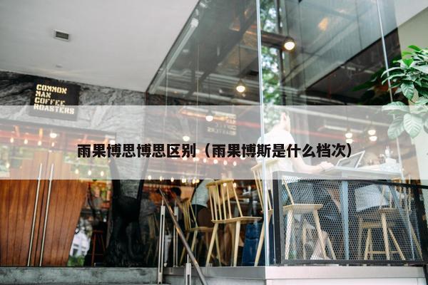 雨果博思博思区别（雨果博斯是什么档次）