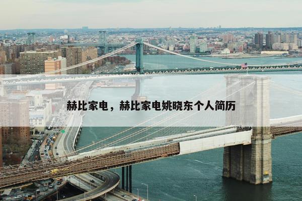 赫比家电，赫比家电姚晓东个人简历