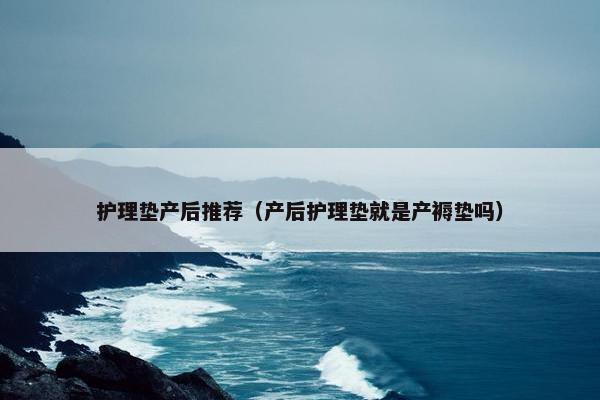护理垫产后推荐（产后护理垫就是产褥垫吗）
