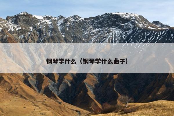 钢琴学什么（钢琴学什么曲子）