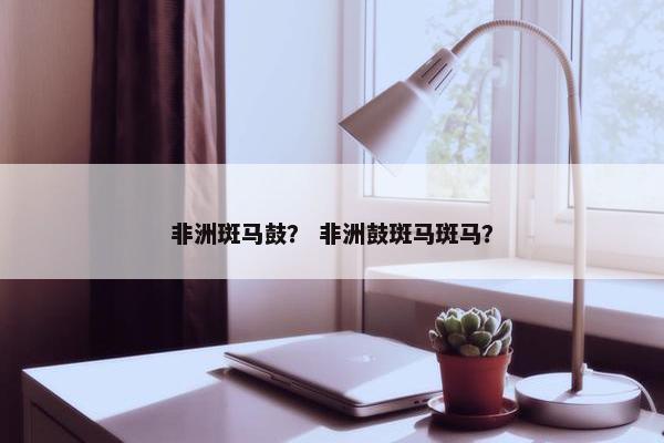 非洲斑马鼓？ 非洲鼓斑马斑马？