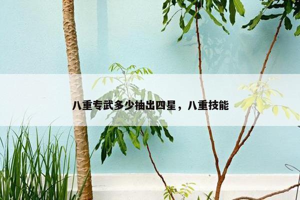 八重专武多少抽出四星，八重技能