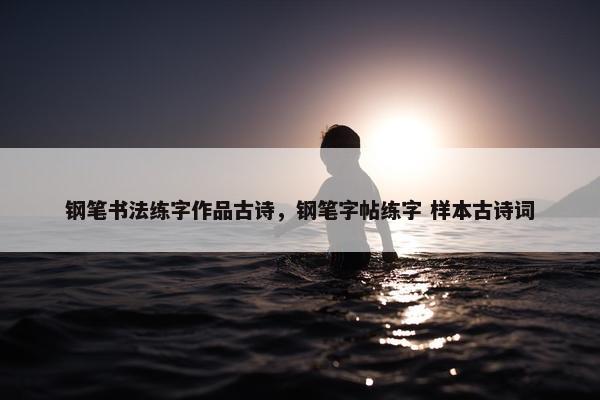 钢笔书法练字作品古诗，钢笔字帖练字 样本古诗词
