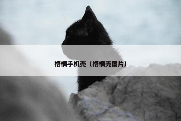 梧桐手机壳（梧桐壳图片）