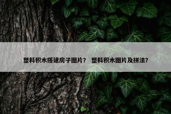 塑料积木搭建房子图片？ 塑料积木图片及拼法？