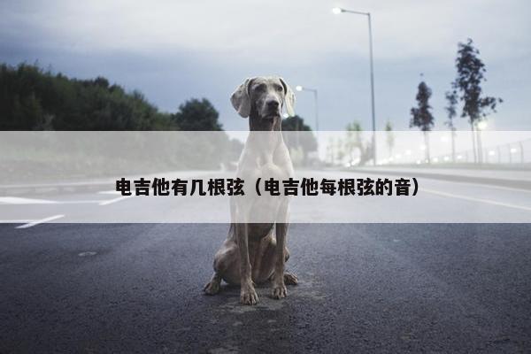 电吉他有几根弦（电吉他每根弦的音）