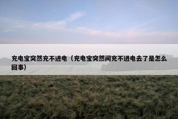 充电宝突然充不进电（充电宝突然间充不进电去了是怎么回事）