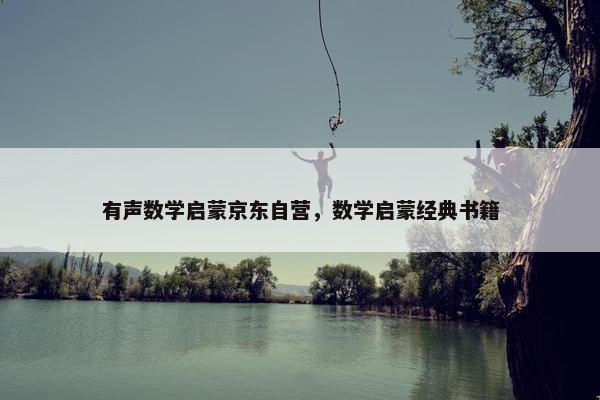 有声数学启蒙京东自营，数学启蒙经典书籍