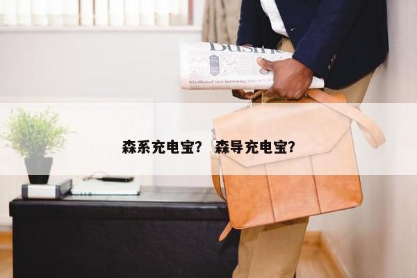 森系充电宝？ 森导充电宝？