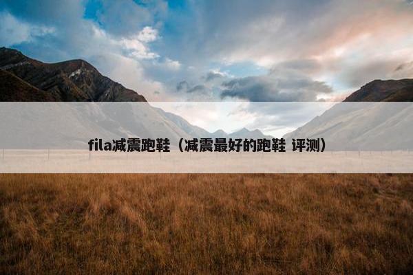 fila减震跑鞋（减震最好的跑鞋 评测）