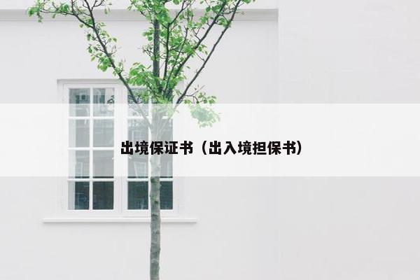 出境保证书（出入境担保书）