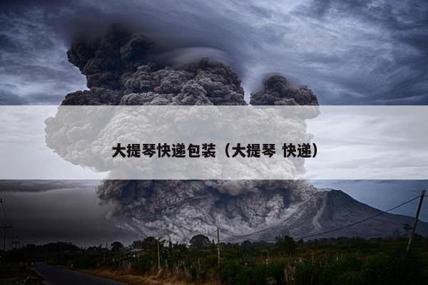 大提琴快递包装（大提琴 快递）