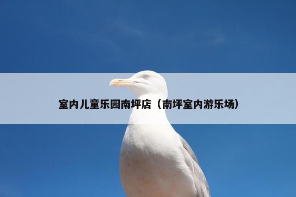 室内儿童乐园南坪店（南坪室内游乐场）