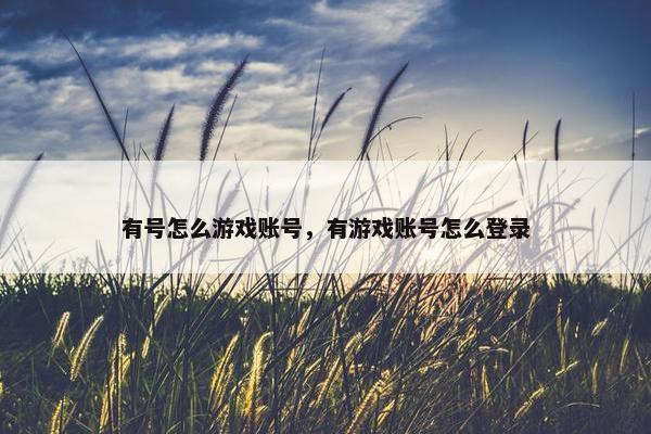 有号怎么游戏账号，有游戏账号怎么登录