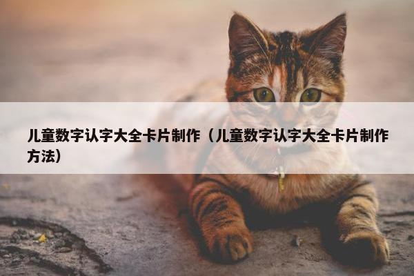 儿童数字认字大全卡片制作（儿童数字认字大全卡片制作方法）