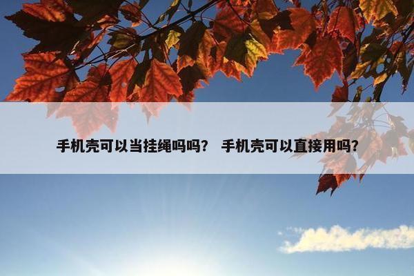 手机壳可以当挂绳吗吗？ 手机壳可以直接用吗？