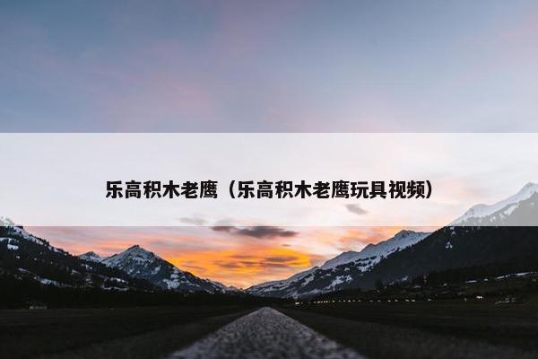 乐高积木老鹰（乐高积木老鹰玩具视频）