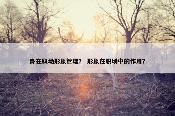 身在职场形象管理？ 形象在职场中的作用？