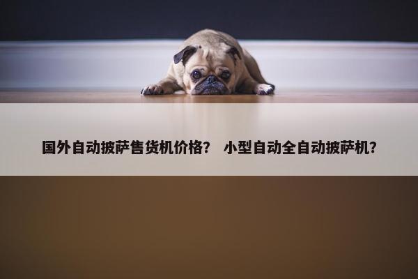 国外自动披萨售货机价格？ 小型自动全自动披萨机？