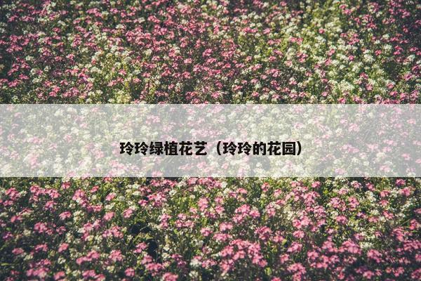 玲玲绿植花艺（玲玲的花园）