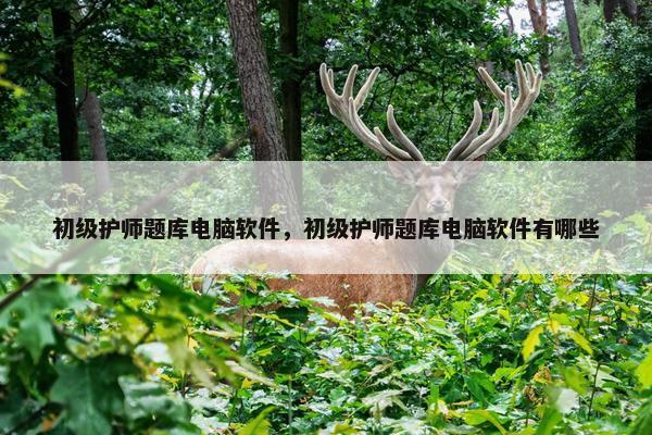初级护师题库电脑软件，初级护师题库电脑软件有哪些