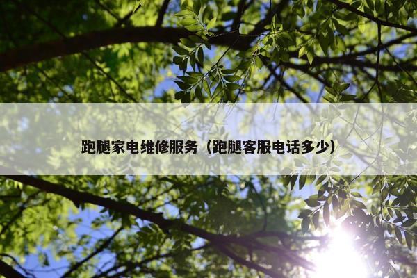 跑腿家电维修服务（跑腿客服电话多少）