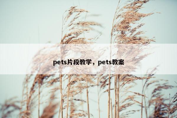 pets片段教学，pets教案