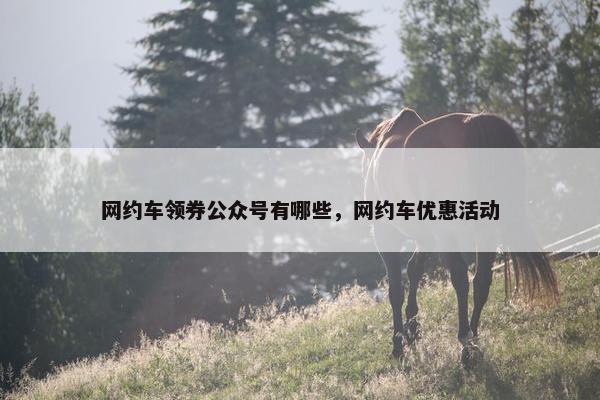 网约车领券公众号有哪些，网约车优惠活动