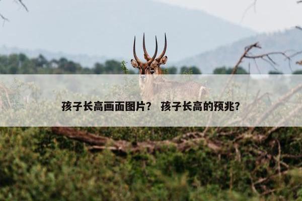 孩子长高画面图片？ 孩子长高的预兆？