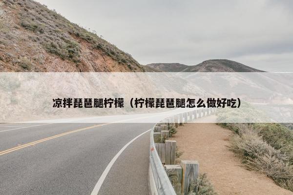凉拌琵琶腿柠檬（柠檬琵琶腿怎么做好吃）