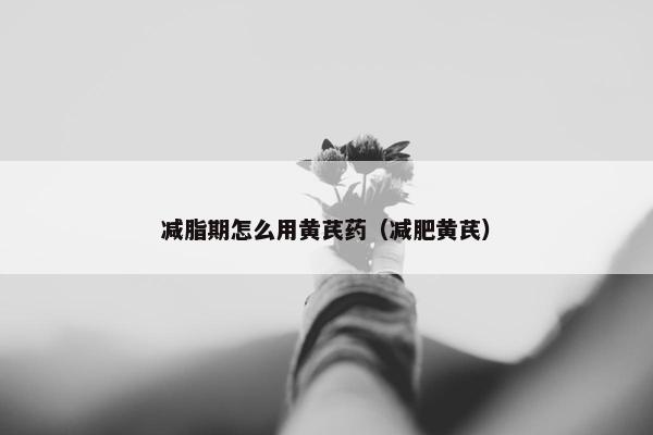减脂期怎么用黄芪药（减肥黄芪）