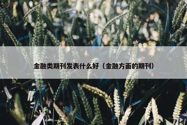 金融类期刊发表什么好（金融方面的期刊）