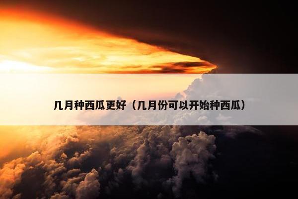 几月种西瓜更好（几月份可以开始种西瓜）
