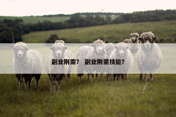 副业刚需？ 副业刚需技能？