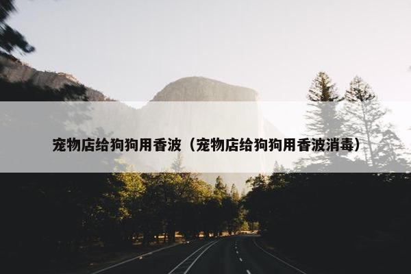 宠物店给狗狗用香波（宠物店给狗狗用香波消毒）