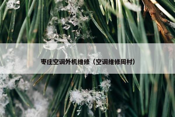 枣庄空调外机维修（空调维修周村）