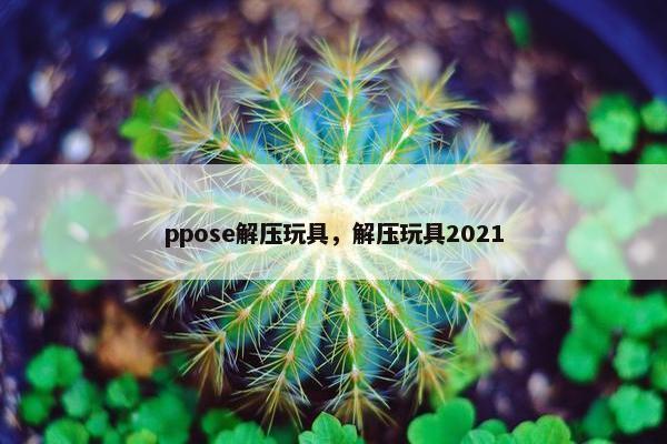 ppose解压玩具，解压玩具2021