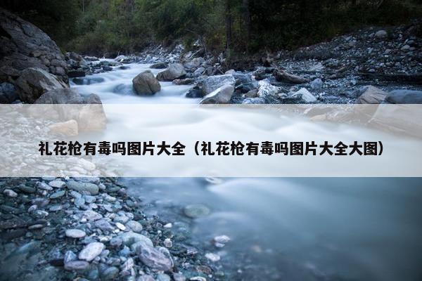 礼花枪有毒吗图片大全（礼花枪有毒吗图片大全大图）