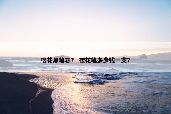 樱花黑笔芯？ 樱花笔多少钱一支？
