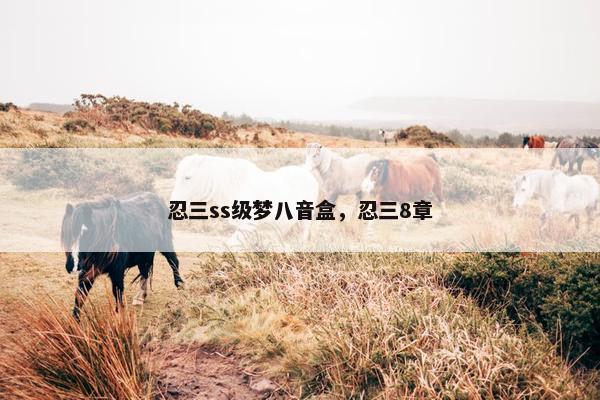 忍三ss级梦八音盒，忍三8章