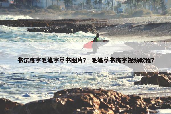 书法练字毛笔字草书图片？ 毛笔草书练字视频教程？